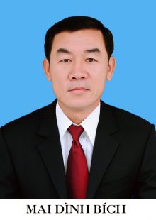 Mai Đình Bích
