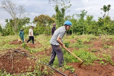 TIN BÀI: LAN TỎA PHONG TRÀO THI ĐUA – VIỆC LÀM NHỎ, Ý NGHĨA LỚN