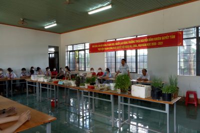 Một số hình ảnh của buổi hoạt động trải nghiệm