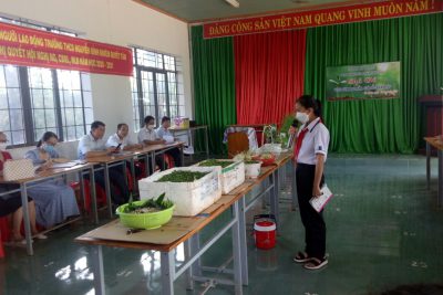 CHUYÊN ĐỀ: HOẠT ĐỘNG TRẢI NGHIỆM ” GIEO ƯƠM CẢI MẦM-GIÁ ĐỖ-HÀNH LÁ”